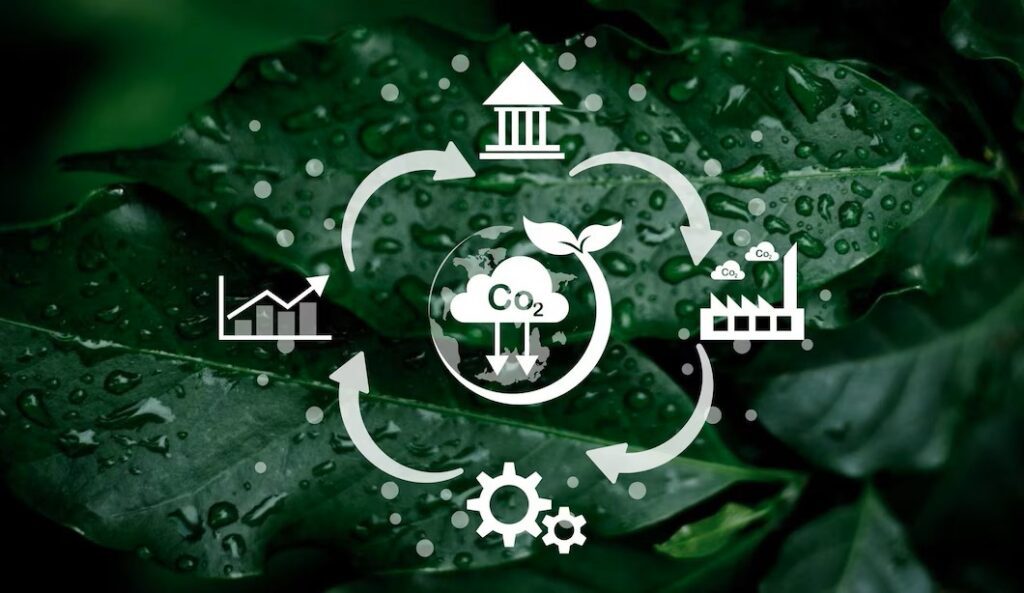 Introduction to Circular Economy (summer course)