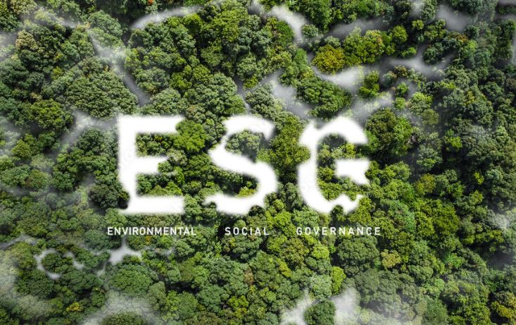 ESG tanácsadó